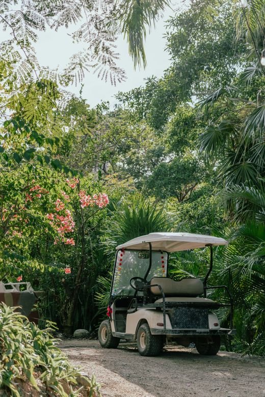 A resort shuttle cart parked on a shaded driveway lined with tropical planting